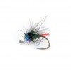 Nt19-AN